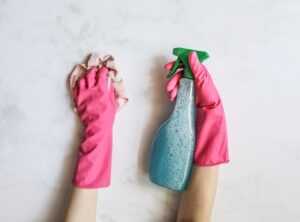 House Cleaning Guide Livpristhome