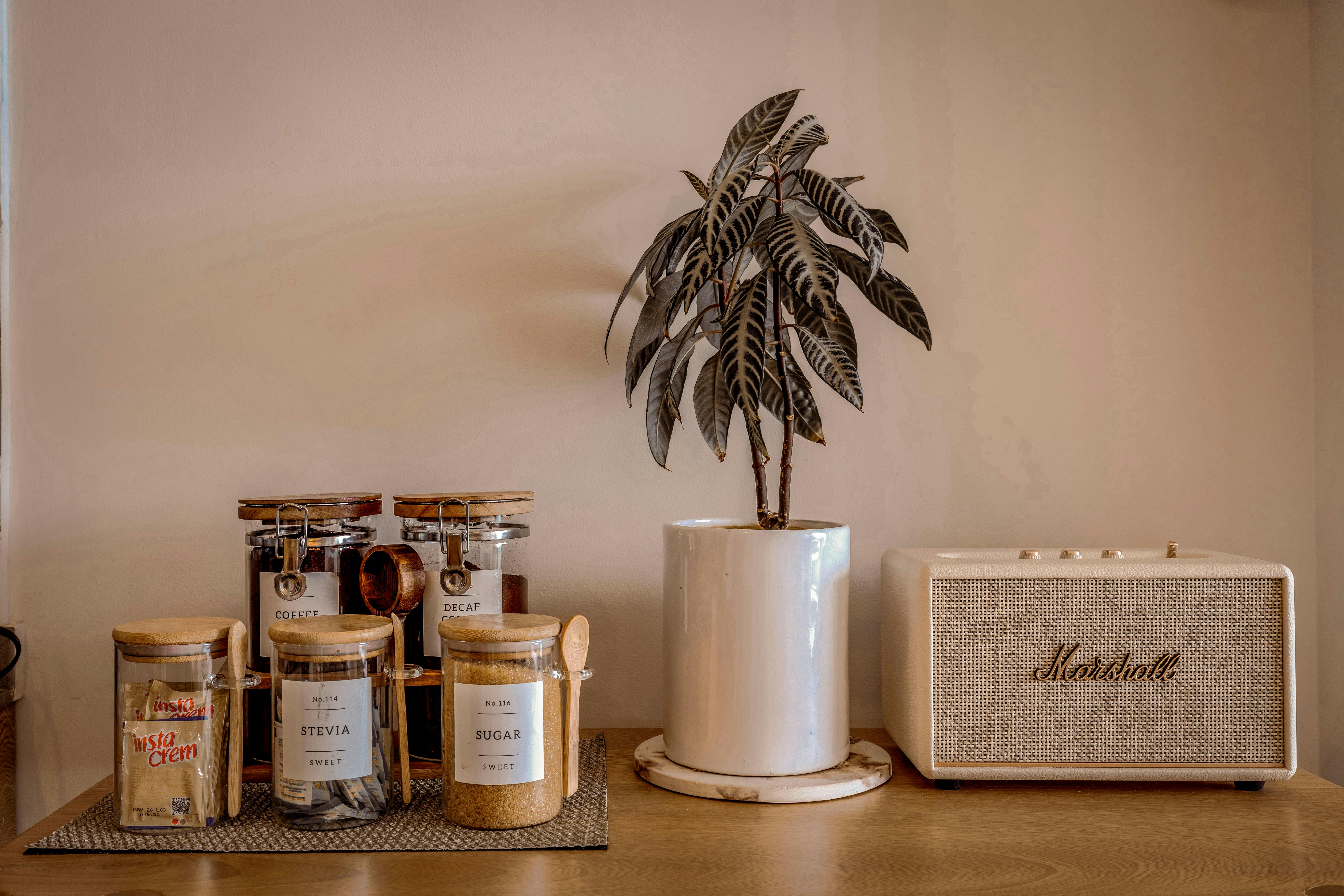 Aesthetic indoor setup with coffee jars, potted plant, and retro speaker.