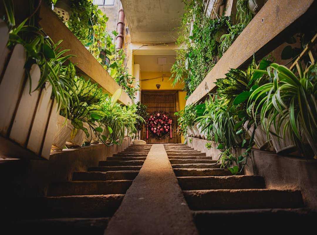 vertical gardens space saving