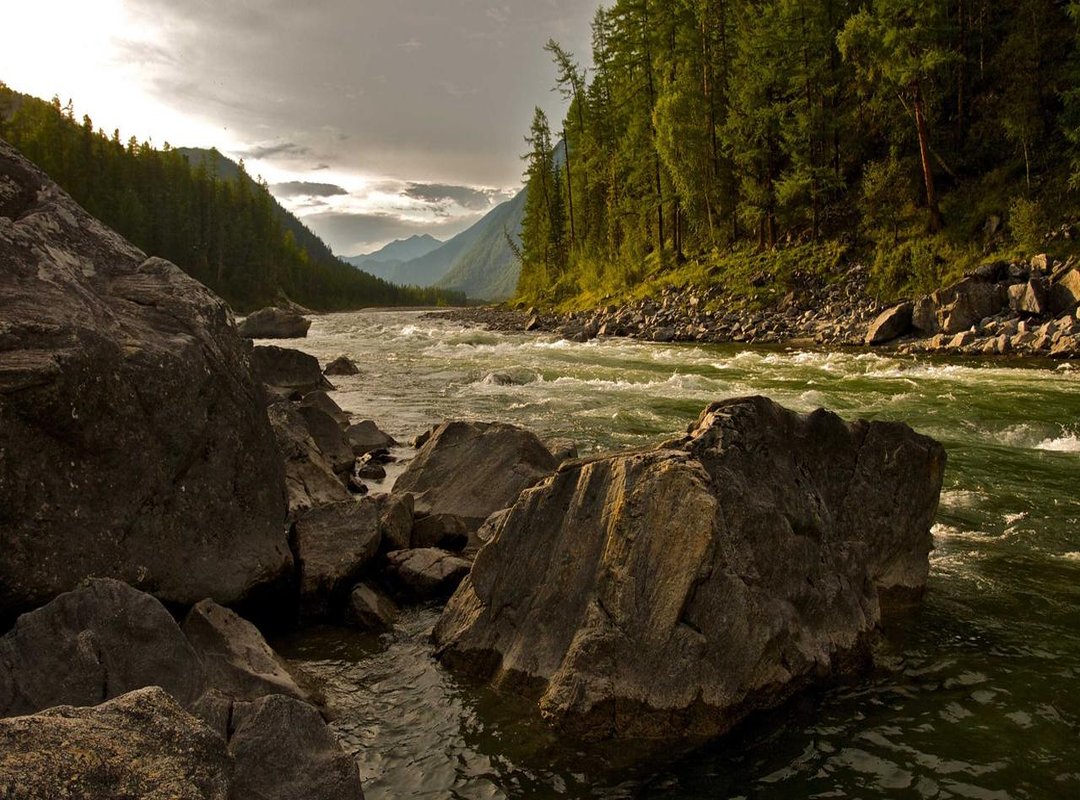 Diner Reviews: Why Locals Keep Coming Back