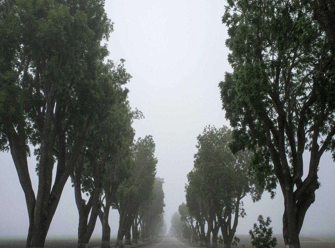 Your First Drawing: A Step-by-Step Guide to a Simple Cartoon Bear