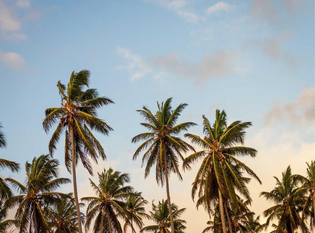 Beyond Your Phone: Creative Decor Ideas Using Stitch Backgrounds