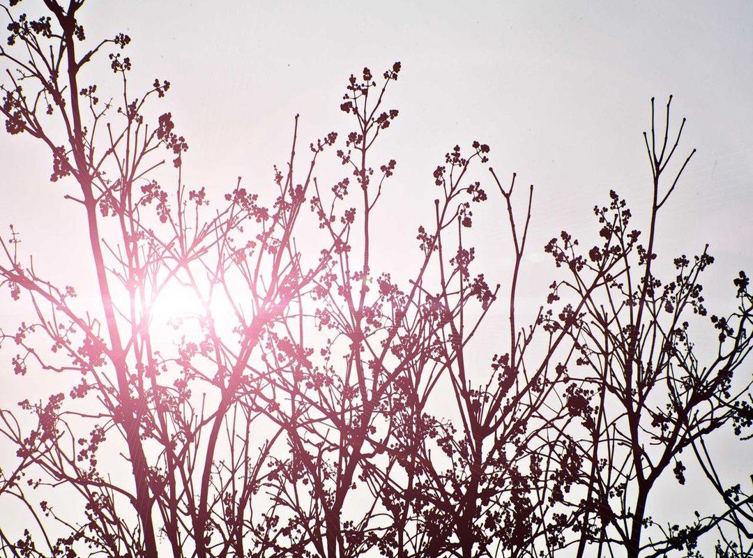 Fueling the Fire: Nutrition and Diet Principles