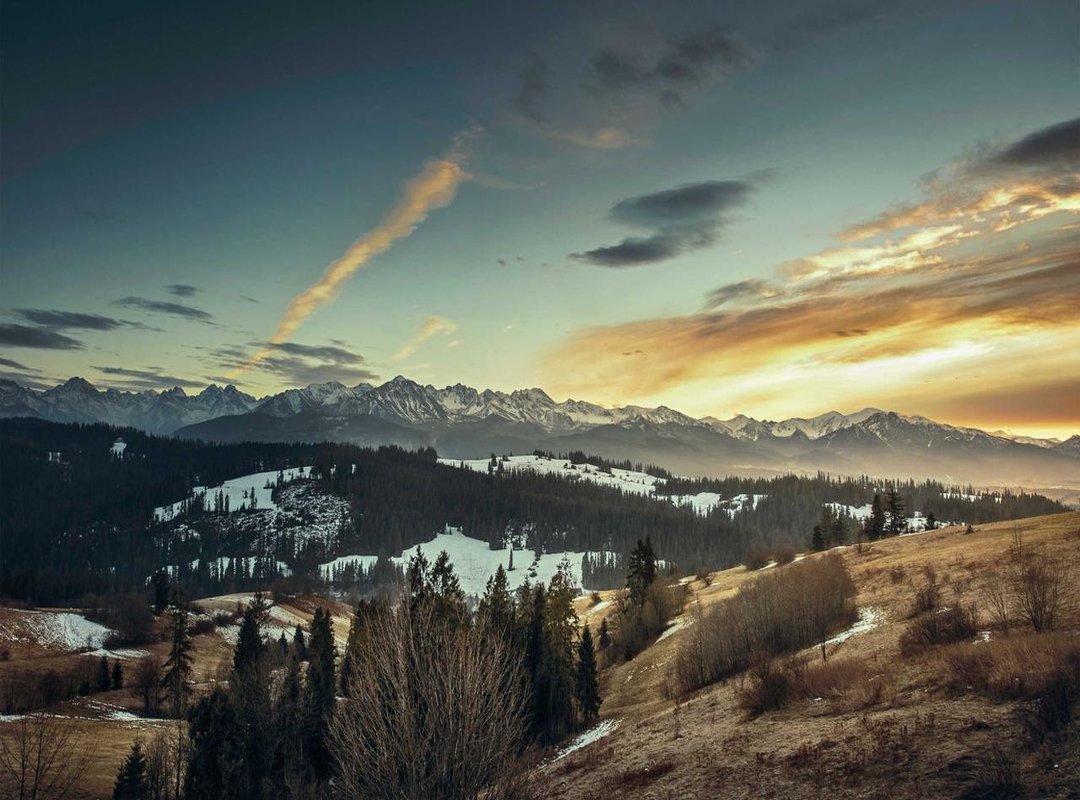 The Kingdom's Conspiracy: Unmasking the True Villain