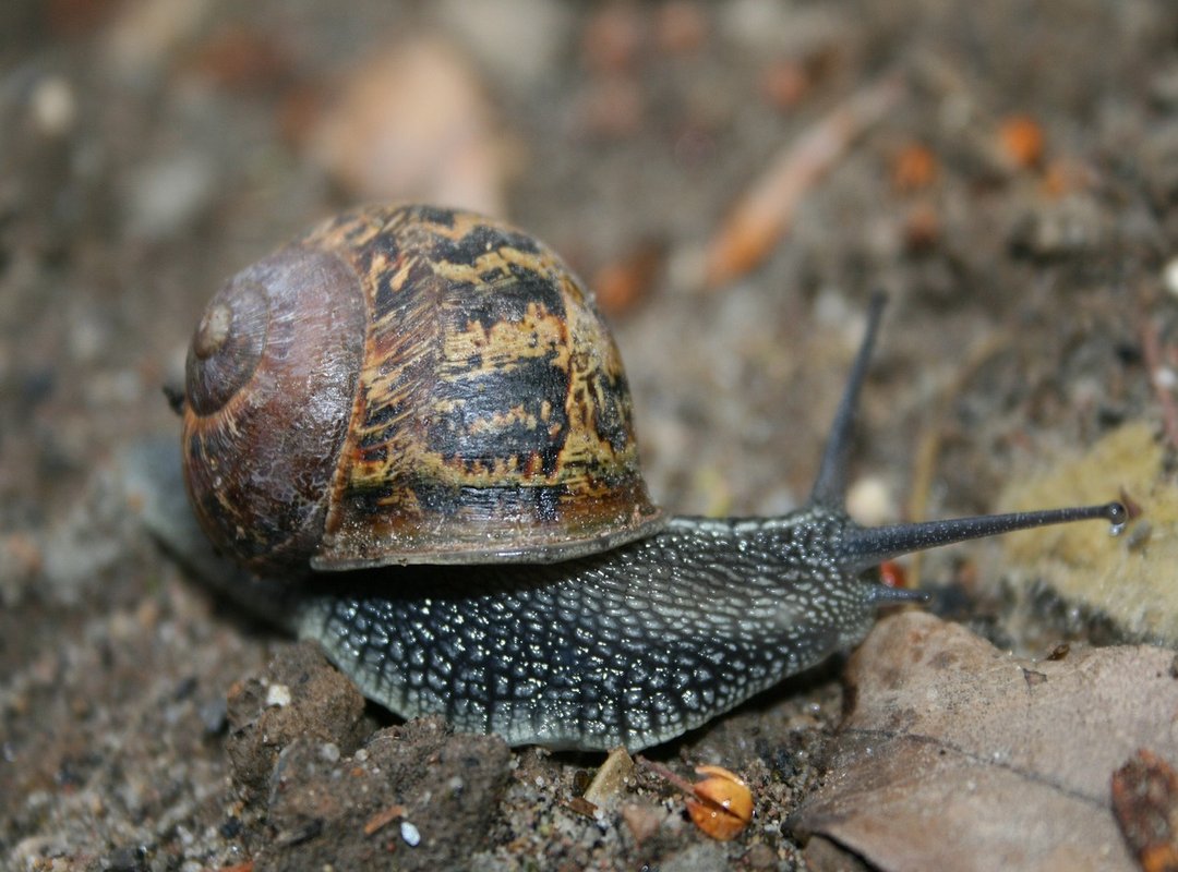 How to Get Started with Modgila in 3 Simple Steps