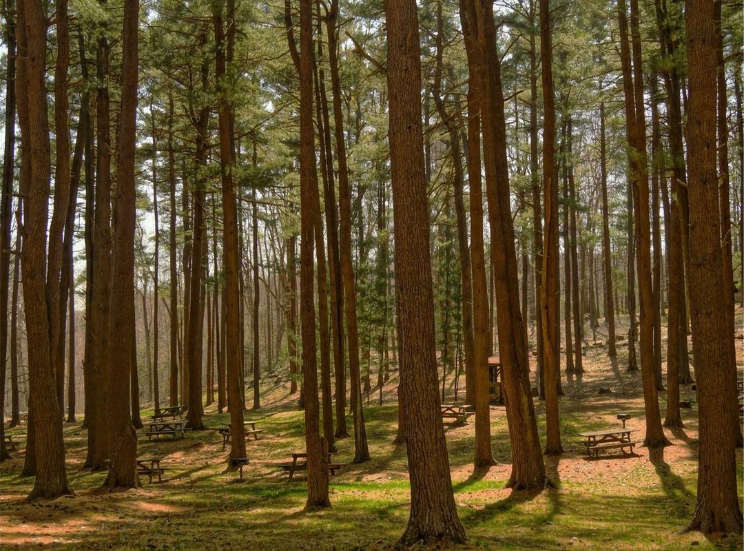 How to Watch Pariah Nexus For Free (The Right Way)